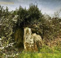 in the V shaped hollows  This piece of megalithic ingenuity was devised to stop the steeply inclined capstone from slipping back