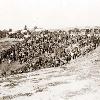 Confederate prisoners at Belle Plain Landing  Virginia captured with Johnson s Division  May 12  1864