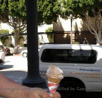 Woo hoo  Friday and the living is easy  Mom is off on Fridays  so that means it s time to get her a sandwich from the Lovebirds Cafe in Pasadena  I ve never had ice cream before  I hear all about it watching all of my buddies on their blogs and I ve been meaning to try some  Today Dad got himself a Carvel soft serve and it was my