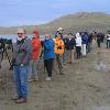 me  Despite a thorough scan of the many oaks  fence posts and power lines  we were not able to locate a Bald Eagle  Photo  Matthew Dodder