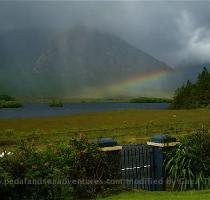 An 8 day bike tour around the Emerald Isle 2010 Season