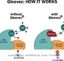 to the target of treatment and minimally impairs normal processes  The interaction between drug and disease is known as mechanism of action   However  even well targeted drugs  such as the cancer drug Gleevec  can have significant side effects  emphasizing the need for caution in the testing of new drugs in