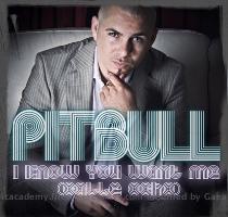 I know you want me  Calle Ocho    PitBull