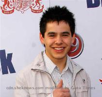 David Archuleta and David Cook battle it out to be this seasons  American Idol