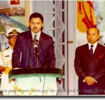 NEW AREAS OF BRUNEI DARUSSALAM  Petroleum Unit  April 2001