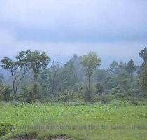 Rainy weather in Abbottabad