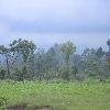 Rainy weather in Abbottabad