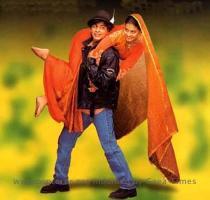 ddlj the movie which took my generation by storm the movie which cut across all the segments whet sholay has added a new chapter to its kitty dilwale dulhaniya le jayenge also known as ddlj will