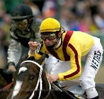 Getty Images Rachel Alexandra  who won the Preakness  will skip the Belmont Stakes