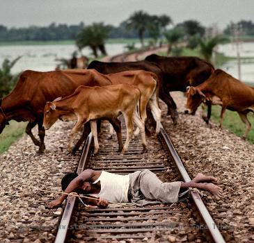 Bangladesh  1983