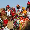 Rajasthan  The tourist region par excellence is that of Rajasthan  which is the most refined craftsmanship of India