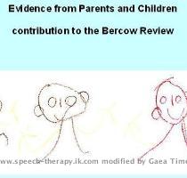 Consultation for the Bercow Report