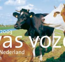 Novas Vozes  Schrijvers uit Nederland en Vlaanderen  21 25 oktober 2003