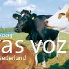 Novas Vozes  Schrijvers uit Nederland en Vlaanderen  21 25 oktober 2003