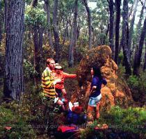 SEARCH  The search for the  lost girlfriend    separated from her partner on a walk to the Kowmung  She was found the day after going missing on the Gingra Range 400m past their intended route