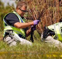 <p>Greeley Police search a drainage ditch in Greeley  Colo  on Wednesday  May 19  2010 where a body was found  The body was found within a half mile of the home of Kayleah Wilson  12  who has been missing since March  < p>