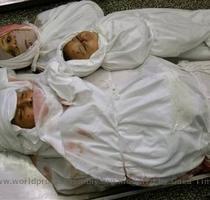 6  5  Amarillismo  www worldproutassembly org images genocide gaza jpg