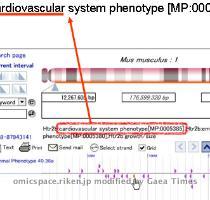 on the chromosome  To clear the filter  do another keyword search with no words    erases all the words typed in the text box