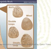 The Schools I ll bite   what are the Four Earth Schools  They are the School of Service  School of Wisdom  School of Peace and School of Love  The four main types of fingerprints determine which school