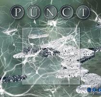 Punct