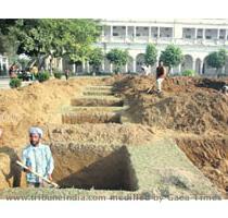 in computer  IBM  launched the first campus placement drive in Punjab with a camp organised in collaboration with Doaba Group of Colleges  DGC  on its campus at Ghataur village   Mohali  Library work draws students  ire Patiala  January 4 Government Mohindra College  Patiala  is one of the oldest institutions in north India  Established in 1875  the