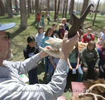 Nevada Department of Wildlife conservation educator Norv Dallin  of the agency s Elko office  talks about the teeth of this antelope skull  Tuesday  May 6  2008 at Lamoille Grove in Lamoille