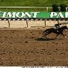 ? belmont park race track ??????????