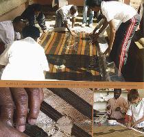 groups in Madagascar  The project will also include training  creation of educational kits  and establishing a permanent exhibition space for a rotating display of objects