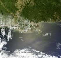 An oil slick  C  is pictured off the Louisiana coast  in this Terra satellite image taken on April 29  2010 and obtained April 30  2010  The huge spreading oil spill in the Gulf of Mexico washed up to coastal Louisiana wildlife and seafood areas on Friday and the U S  government and military struggled to avert what could become one of the nation s worst ecological disasters  REUTERS NASA Handout An oil slick  C  is pictured off the Louisiana coast  in this Terra satellite image taken on April 29  2010 and obtained April 30  2010  The huge spreading oil spill in the Gulf of Mexico washed up to coastal Louisiana wildlife and seafood areas on Friday and the U S  government and military struggled to avert what could become one of the nation s worst ecological disasters  REUTERS NASA Handout