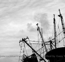 they received a call on Wednesday morning from the crew of the shrimp boat  Matilda Tower  saying a man had fallen overboard   The crewmember was last seen at about 1 30 that morning  A helicopter search crew was sent out  and the body was spotted five miles off the coast of South Padre Island  A boat crew was sent to recover the body  The crewman has been identified as