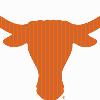 Texas Longhorns