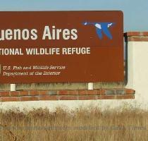 AZ 286 goes through the Buenos Aires National Wildlife Refuge