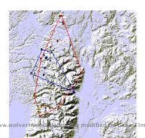 Figure 1  Minimum Convex Polygons for M561 and M621 on the Teton Range Study Area  Wyoming  January  2001   July 1  2001