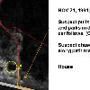 in Figure 1  1991 aerial photo   The trooper followed  parked his patrol car  and gave chase on foot  Subsequently  the trooper apprehended the individual in the field after a scuffle  Figure 1  The chase  The subject later sued the NJ State Police claiming  among other matters  that the trooper had shot at him  Witnesses in the home by the driveway  who were