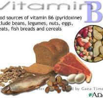 Pictures   Images Vitamin B6 Source Like most vitamins  vitamin B6 may be obtained in the recommended amount with a well balanced diet  including some enriched or fortified foods