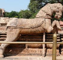 The most popular and colourful festival of Konark  an occasion for a grand congregation of Indian pilgrims and enthusiasts from abroad  falls on the seventh day of the new moon of Magha