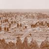 In the mid 1890s  Flagstaff was little more than a clearing the forest  The Woody house was just out of the frame at lower left