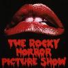 Variety is reporting that BSkyB s Sky Movies will officially co finance the upcoming remake of Rock Horror Picture Show along with MTV  Under the deal  Sky Movies will exclusively play the