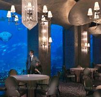 Dubai aims to attract a staggering 10 million hotel visitors annually  up from about 7 million in 2007  Atlantis alone will increase the city s hotel capacity by 3 percent  Enlarge Fish food  Diners can also gaze at the stunning sea life in the giant aquarium