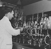 Testing Determination of Vitamin B Complex in Dehydrated Vegetables From the Prints   Photographs Division  Library of Congress Dr  G I  Jones  associate chemist  conducts tests in determination of vitamin B complex in dehydrated vegetables  Regional agricultural research