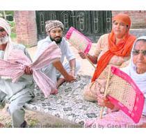 Mosquitoes fan out in power less Punjab Samrala  July 31 Mosquitoes in the countryside have become a nightmare as rural Punjab remains without power most of the time in day and at night  Baljinder Singh