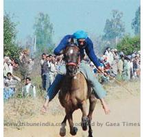 Sports at Jarkhar from today Ludhiana  February 4