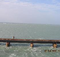 and is extremely calm   it almost looks like a gigantore swimming pool   clear greenish blue  The same profile exists even around the Rama Sethu which is very close to the Pamban bridge