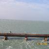 and is extremely calm   it almost looks like a gigantore swimming pool   clear greenish blue  The same profile exists even around the Rama Sethu which is very close to the Pamban bridge