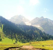 Kashmir Hill Stations Tour  Kashmir is a pleasant place to visit in every season and its every place is incredible  but