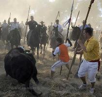 TORDESILHAS  ESPANHA  TORO DE LA VEGA