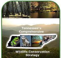 Tackling climate change in Tennessee s State Wildlife Action Plan Cover of Tennessee s Coprehensive Wildlife Conservation Strategy  Credit  Tennessee Wildlife Resources Agency Tackling climate change may seem like an