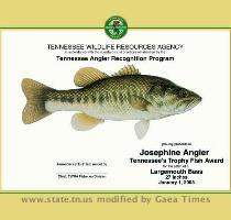 Last Update  September 9  2009 The Tennessee Angler Recognition Program  TARP  allows anglers to have their trophy fish recognized by the Tennessee Wildlife Resources Agency  TWRA   Anglers of any age  who catch