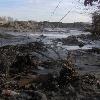 Marika Collins   January 7  2009 Officials at the Tennessee Wildlife Resources Agency  TWRA  are bracing themselves for a long term wildlife study at the TVA spill site  The area was severely contaminated after a massive