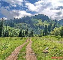 WORLD NATURE LANDSCAPES >>> ASIA >>> NORTHERN TIEN SHAN MOUNTAINS Pasture meadows and apricot orchards in the lower altitude zone  Road to the Kimaisar pass  Northern Tien Shan Mountains  Zailiysky Alatau  near Almaty  Alma Ata  and Medeo  Kazakhstan